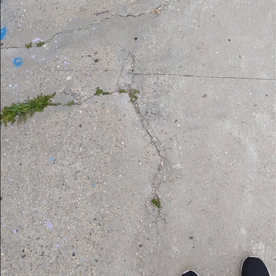 Trash near 14-14 29th Avenue, New York City