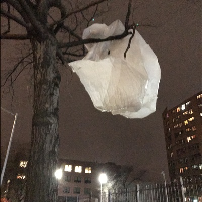 Trash near ELIZABETH SETON HDFC, East 121st Street, East Harlem, Manhattan, Manhattan Community Board 11, New York County, New York City, New York, 10035, USA