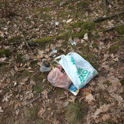 Trash near 18 Pawła Jana Sapiehy, Warsaw