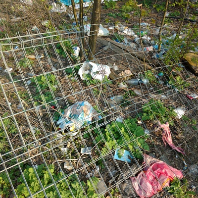 Trash near 11, Marszałka Józefa Piłsudskiego, Drewnica, Ząbki, powiat wołomiński, Masovian Voivodeship, 05-091, Poland