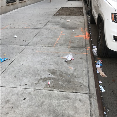 Trash near 1697 Park Avenue, New York City