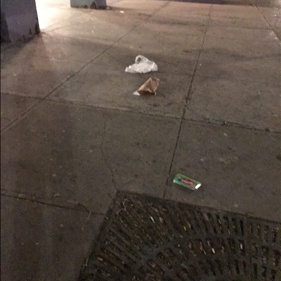 Trash near 130 East 118th Street, New York City